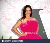 Kimberleigh Gelber attends The V&A Summer Party in London wearing Giambattista Valli 1